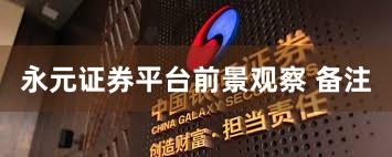 永元证券平台前景观察 备注
