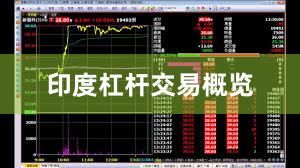 印度杠杆交易概览