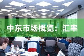 中东市场概览：汇率